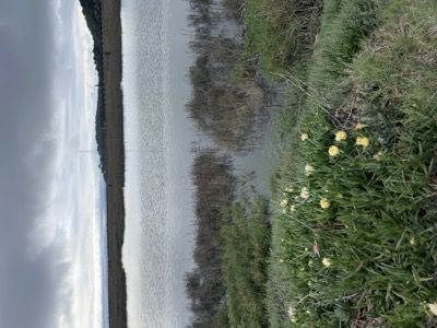 Segment 53 photo 1