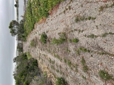 Segment 53 photo 2