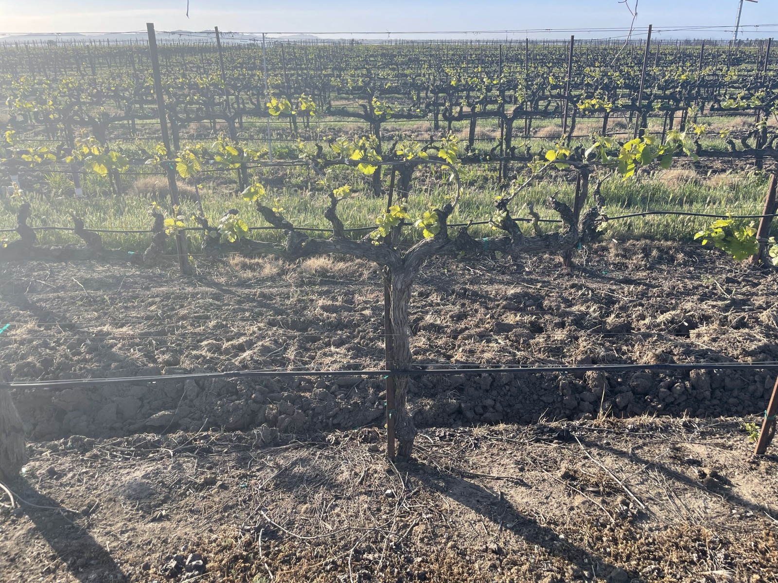 Segment 54, photo 10