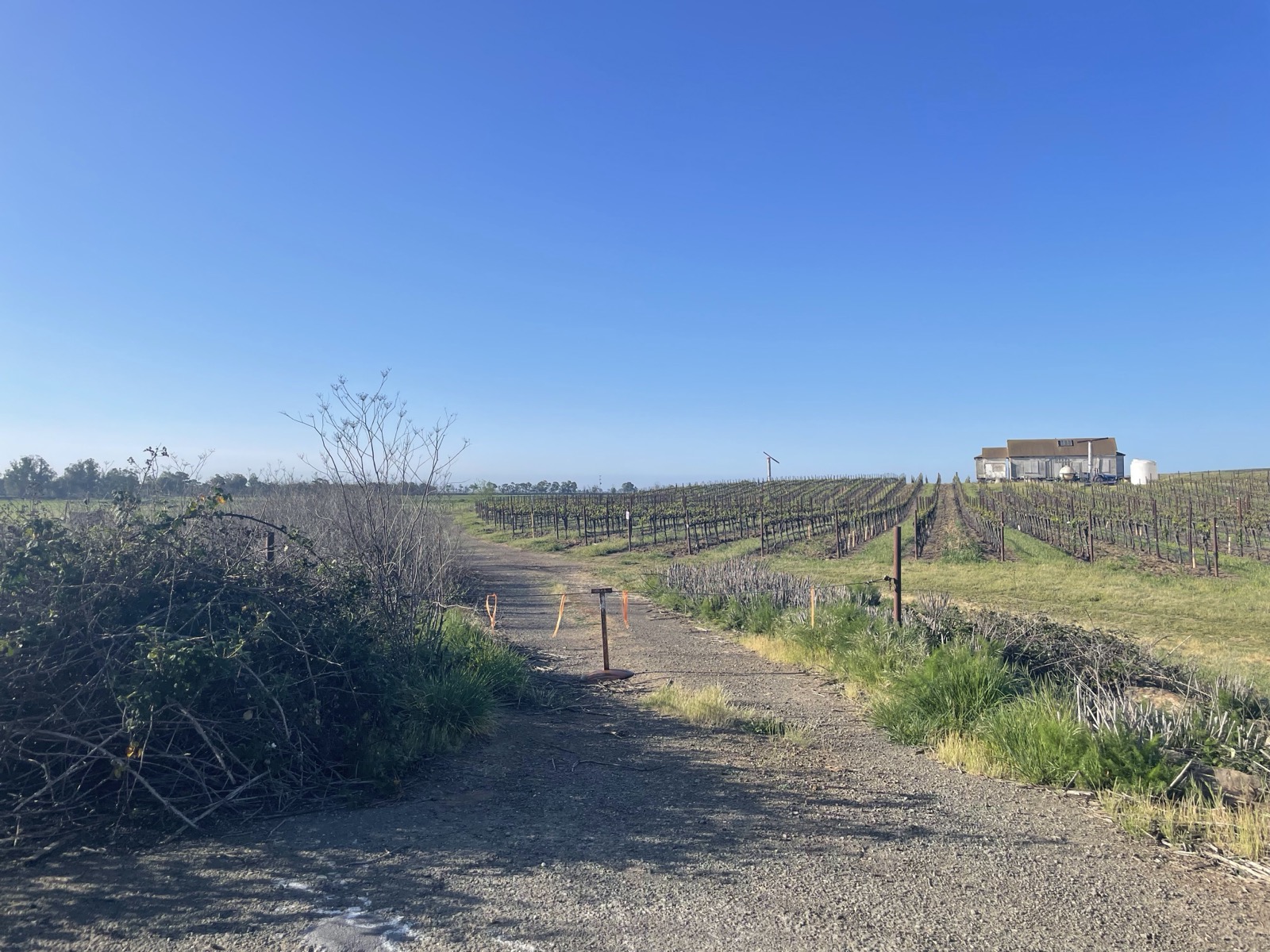 Segment 54, photo 12