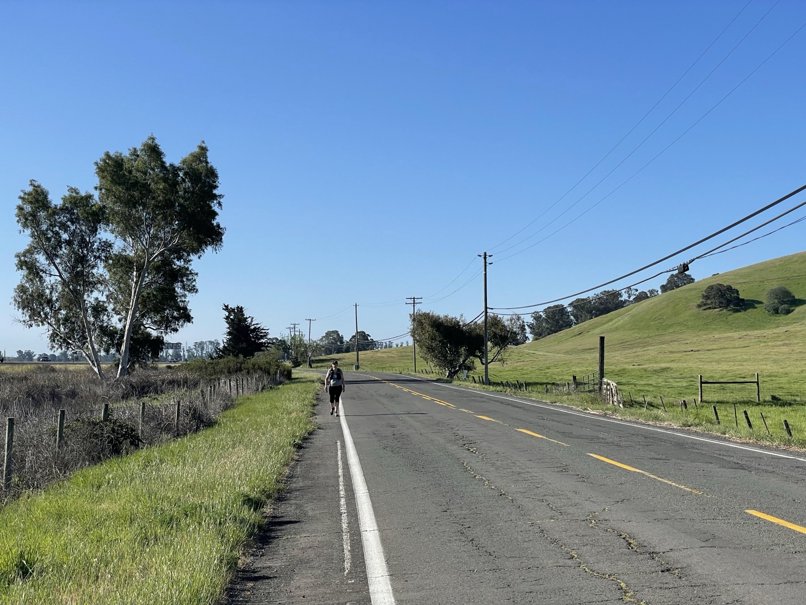 Segment 54, photo 17