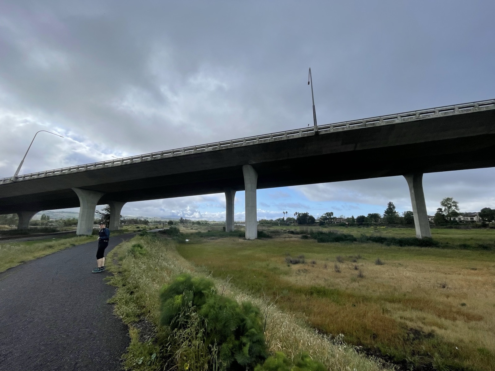 Segment 55, photo 1