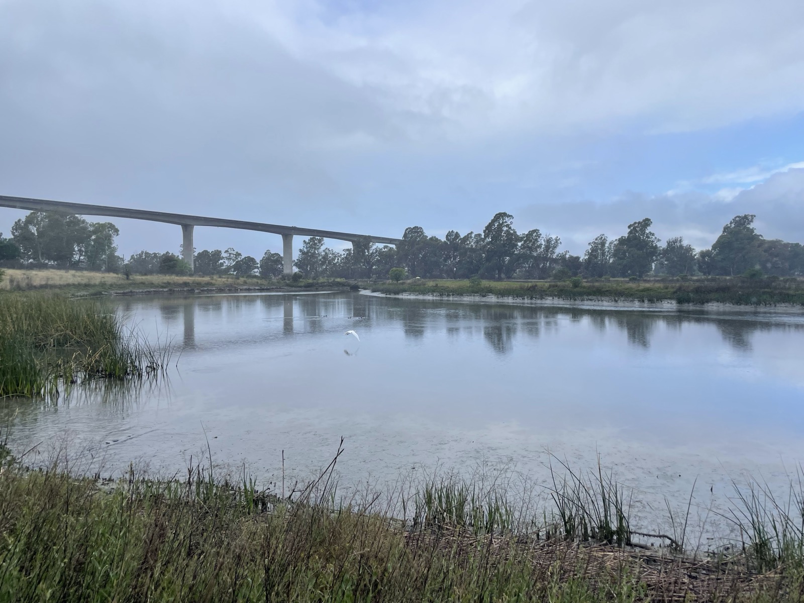 Segment 55, photo 11