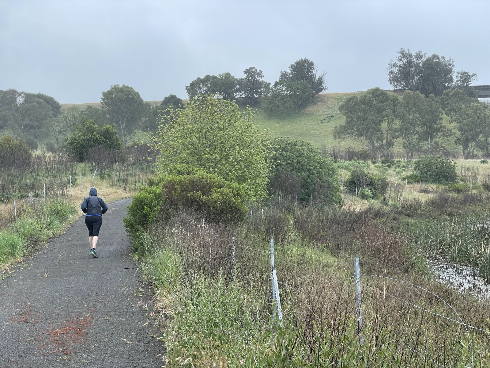 Segment 55, photo 13
