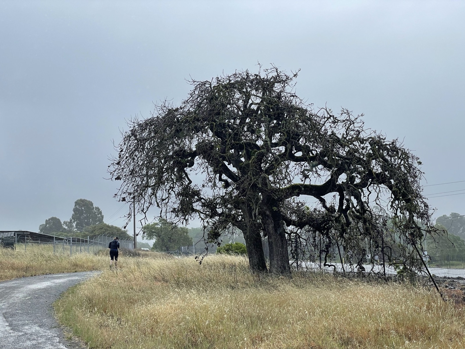 Segment 55, photo 16