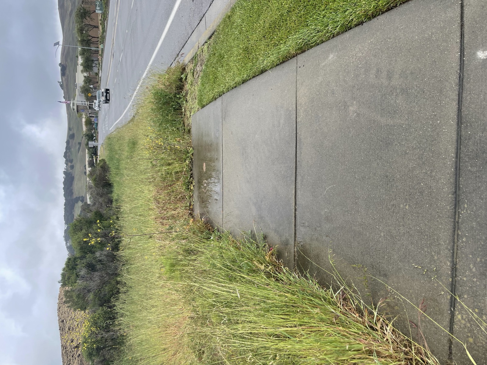 Segment 55, photo 19
