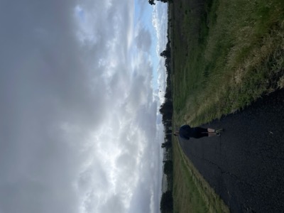 Segment 55 photo 4