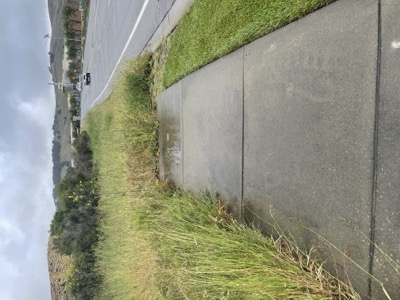 Segment 55 photo 19