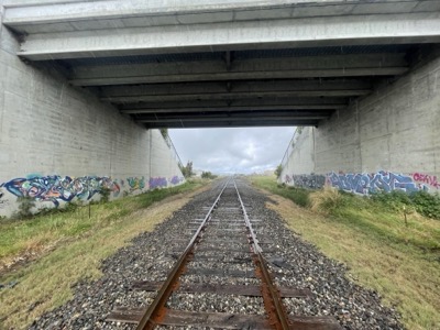 Segment 55 photo 25
