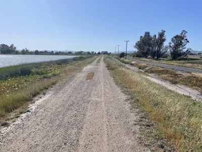 Segment 56 photo 1