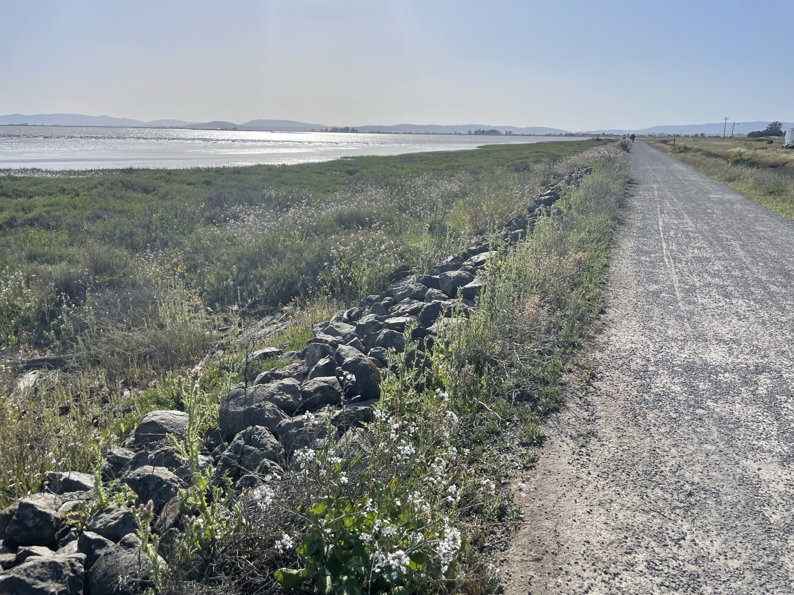 Segment 57, photo 1