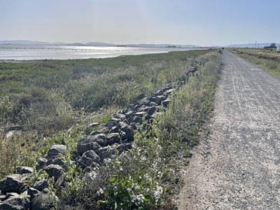 Green Island Road to Wetlands Edge Park
