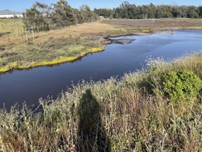 Green Island Road to Wetlands Edge Park