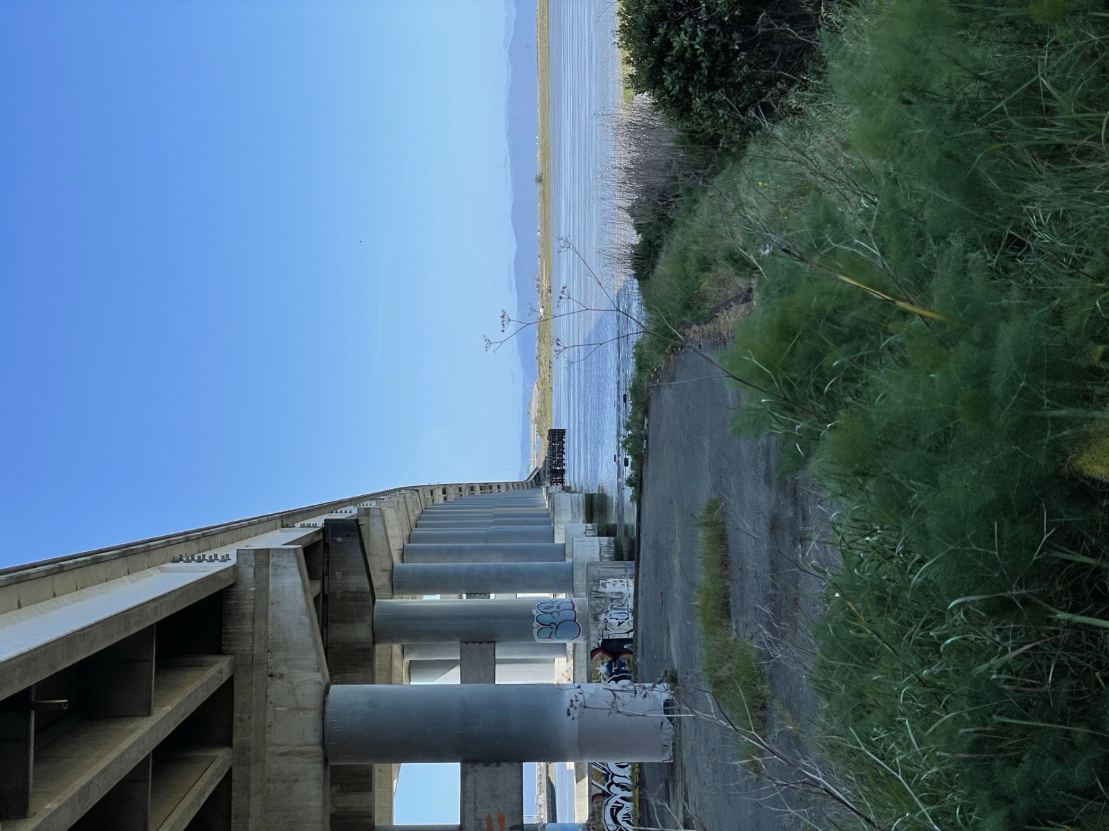 Segment 59, photo 8