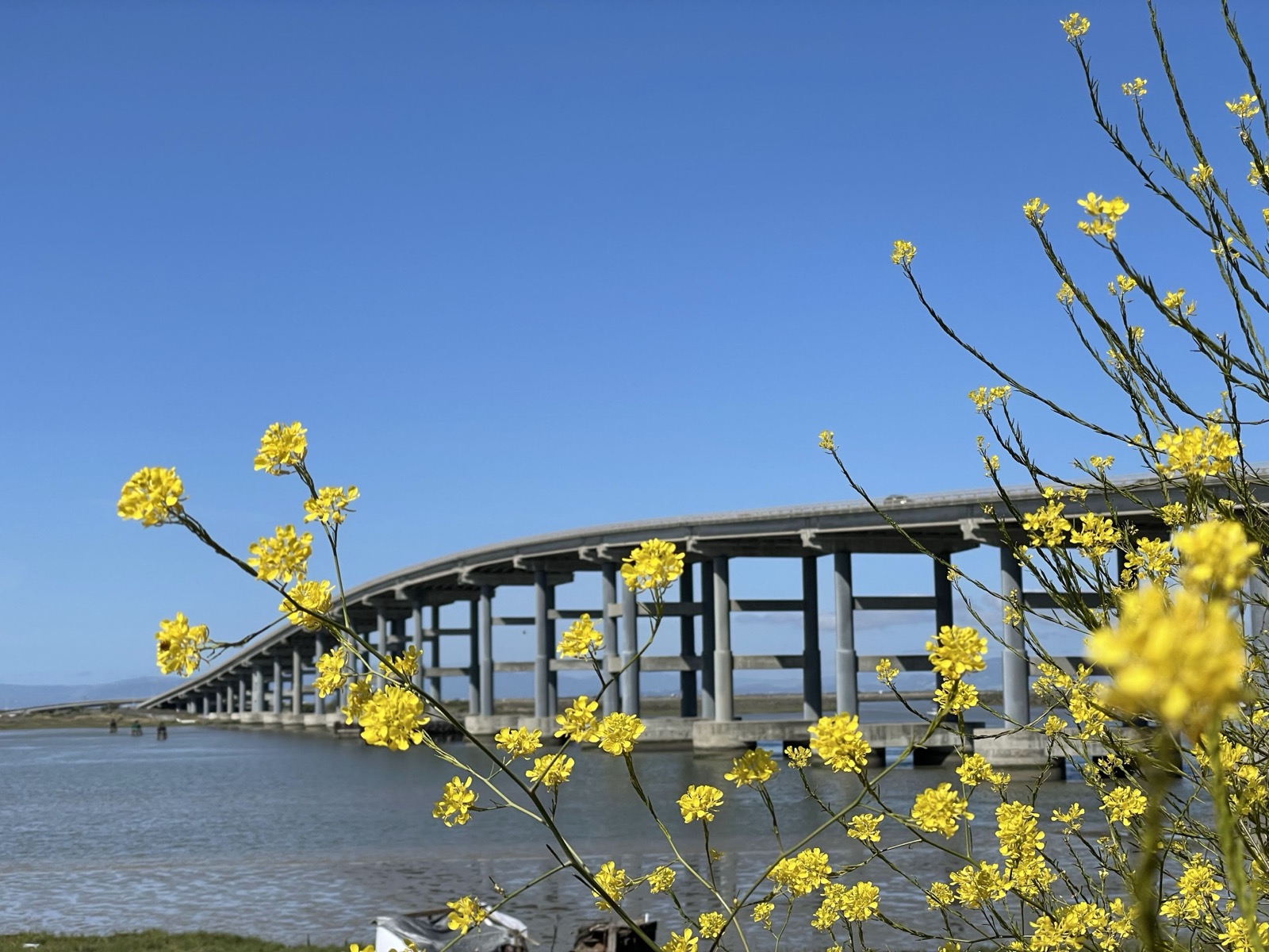 Segment 59, photo 9