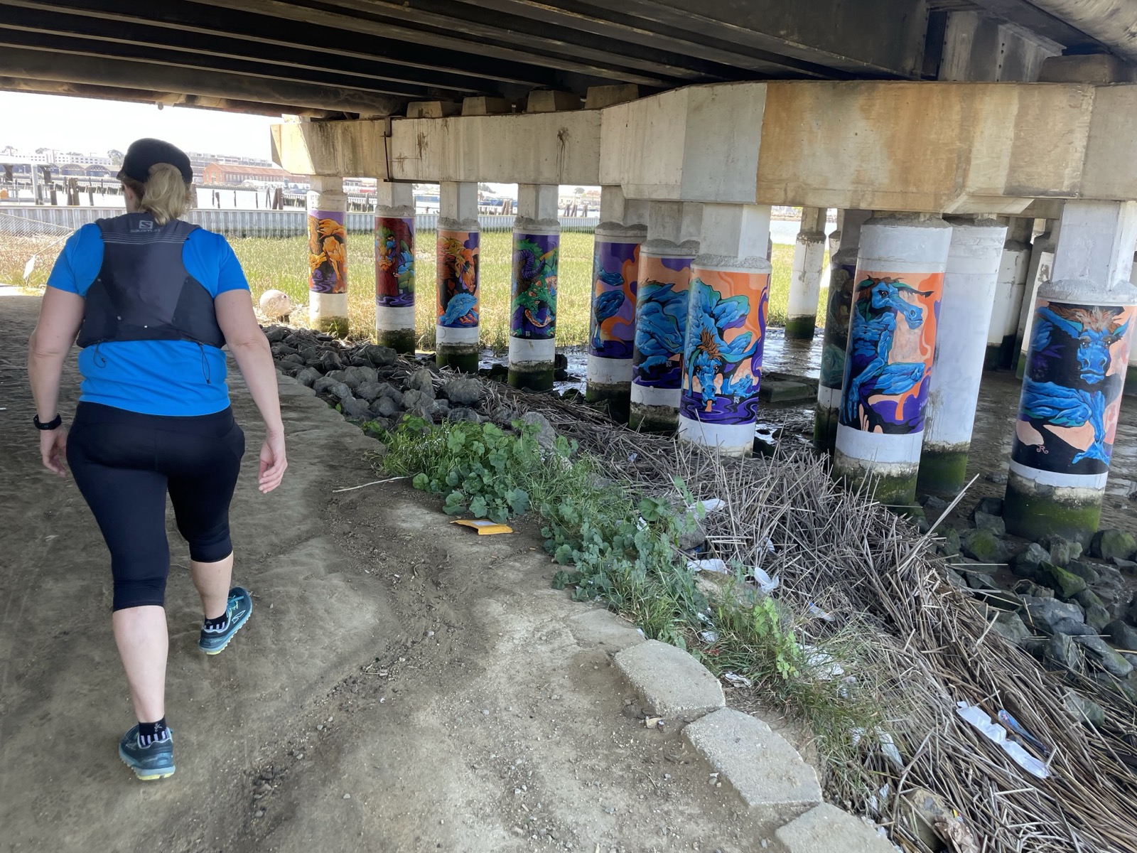 Segment 59, photo 12