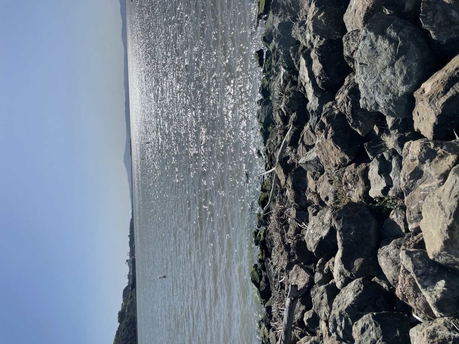 Segment 60, photo 7