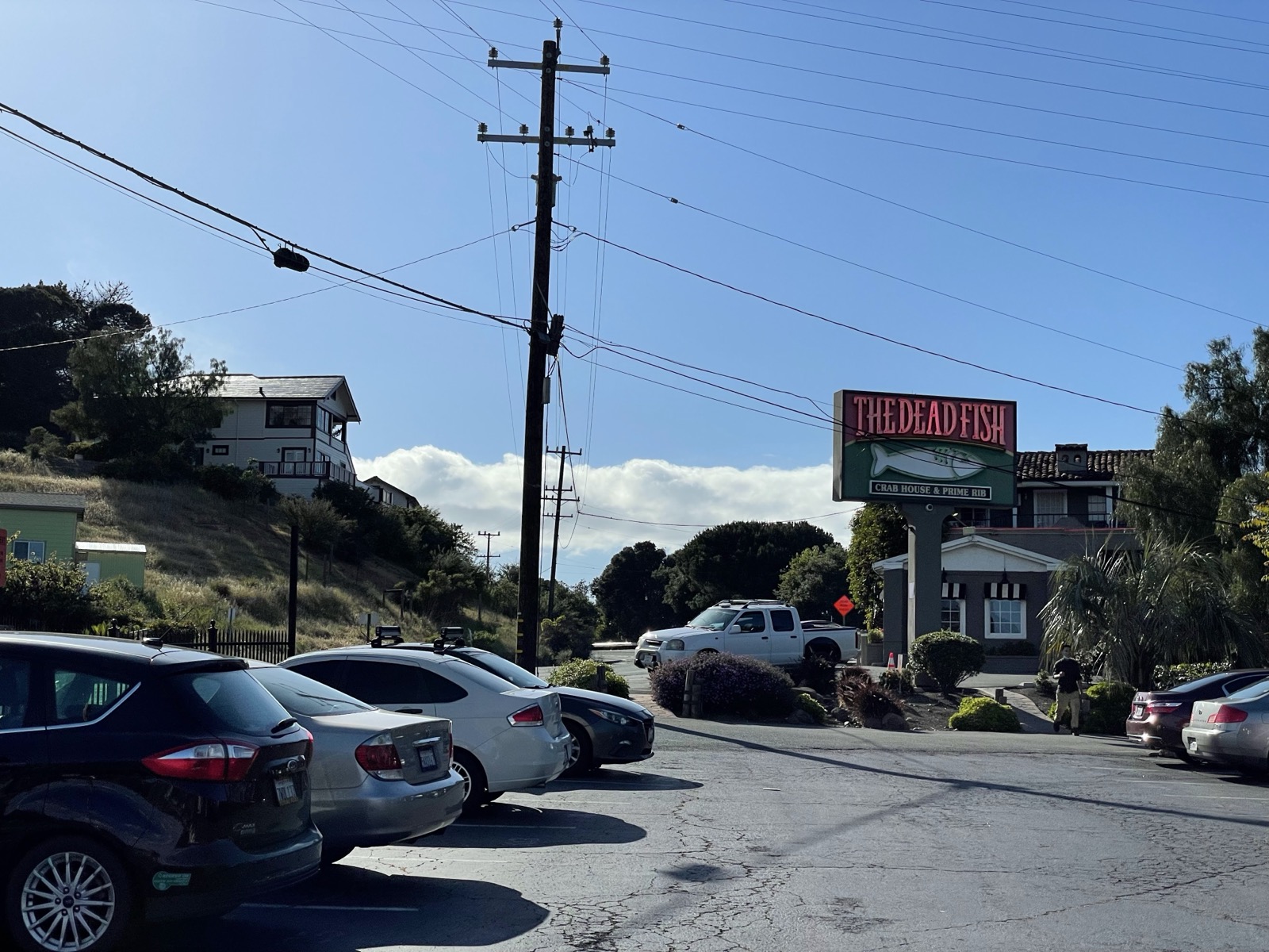 Segment 61, photo 10