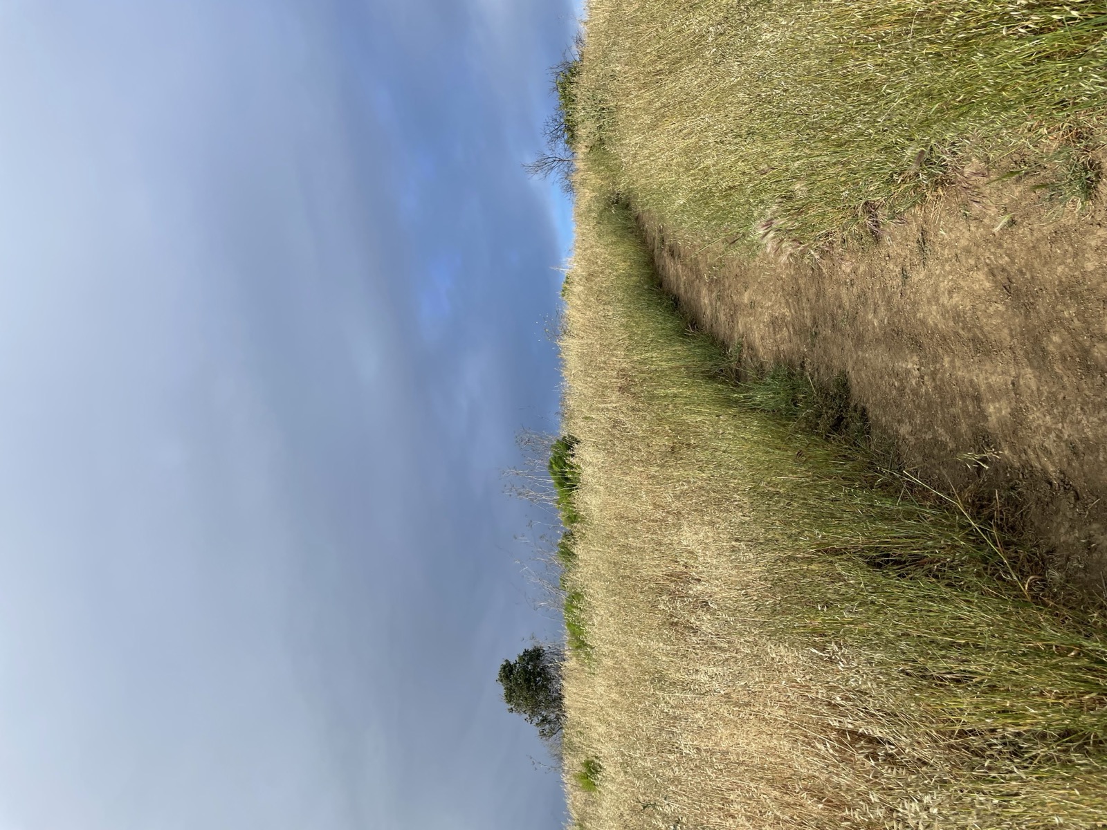 Segment 62, photo 9