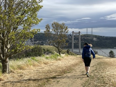 Segment 62 photo 8
