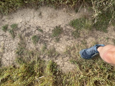 Segment 62 photo 10