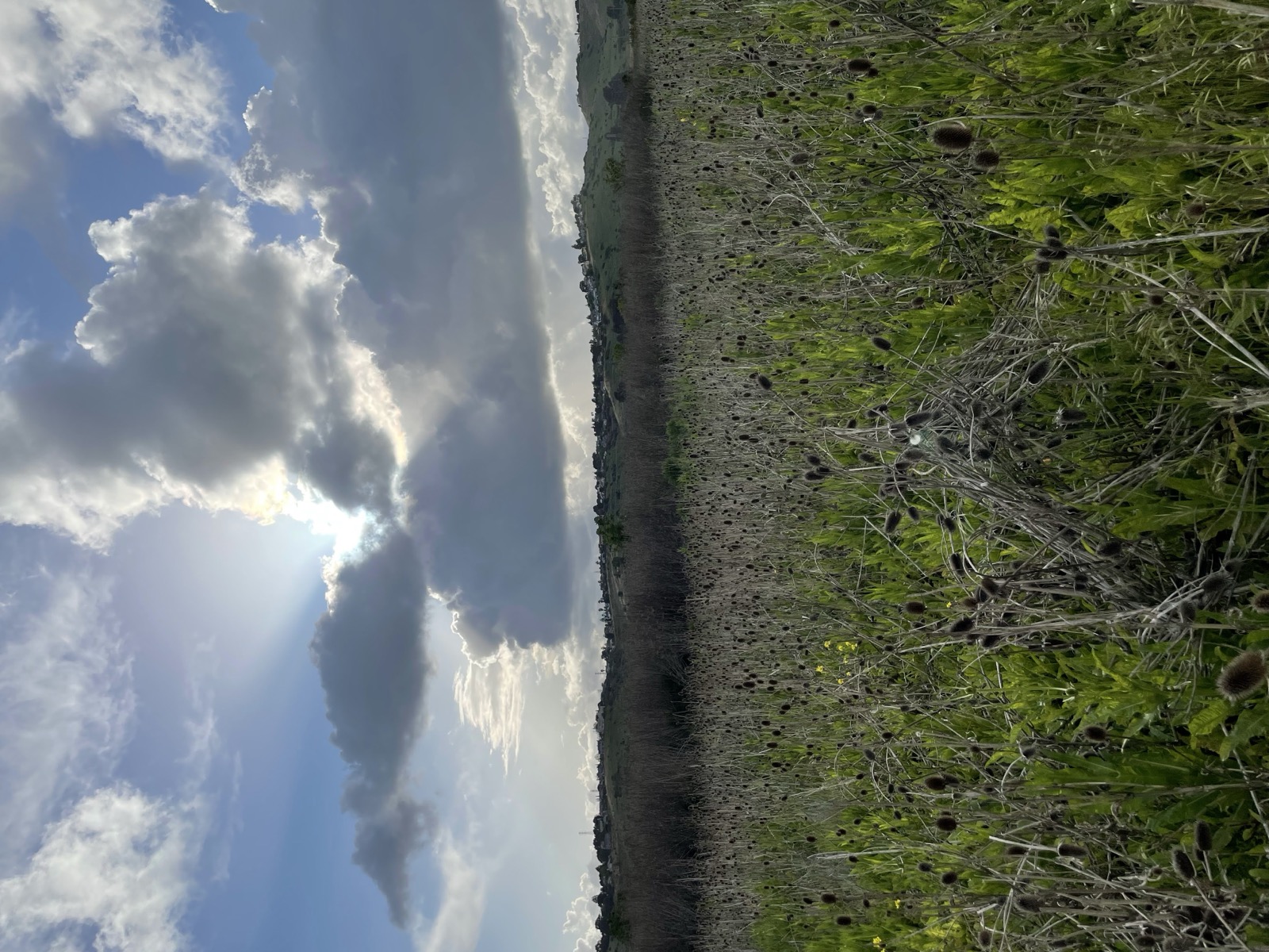 Segment 63, photo 17