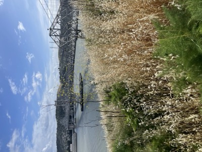 Segment 63 photo 2