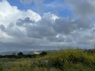 Segment 63 photo 15