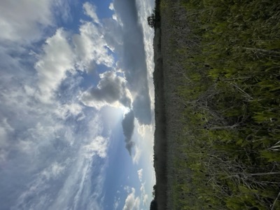 Segment 63 photo 18
