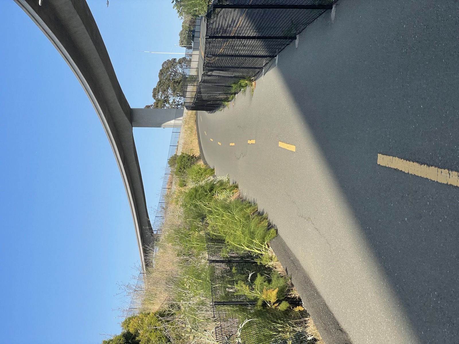 Segment 65, photo 1