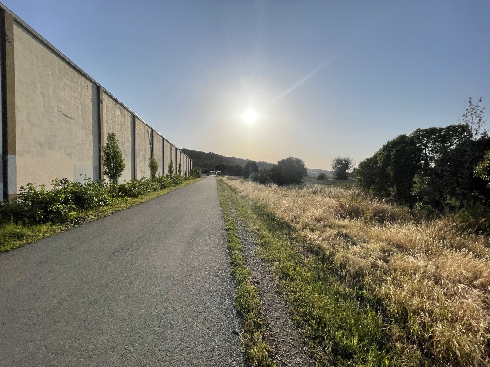 Segment 65, photo 9