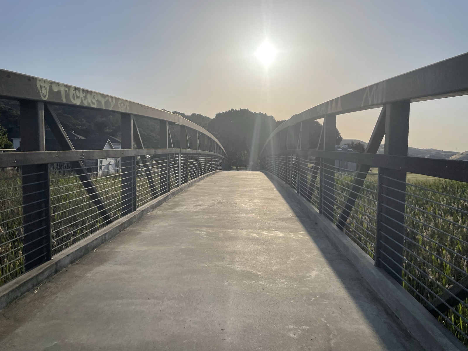 Segment 65, photo 11