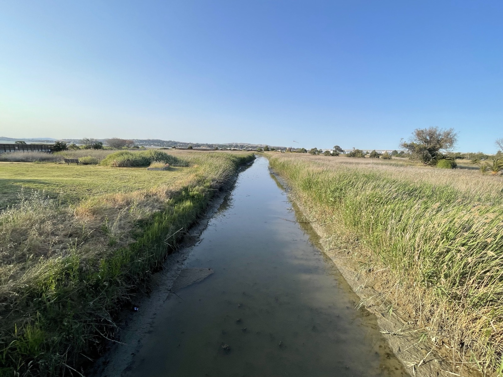 Segment 65, photo 13