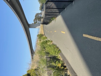 Segment 65 photo 1