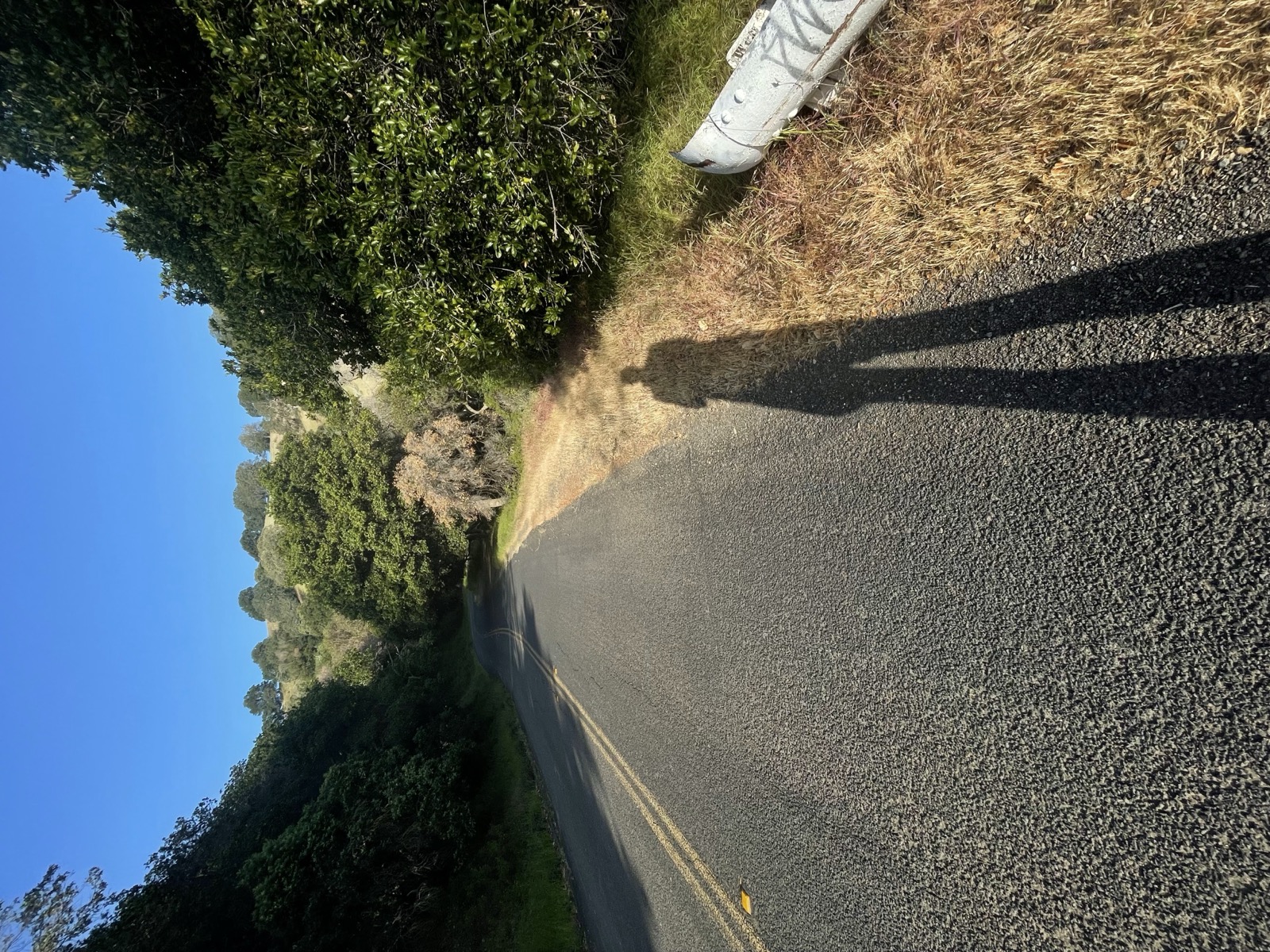 Segment 66, photo 4