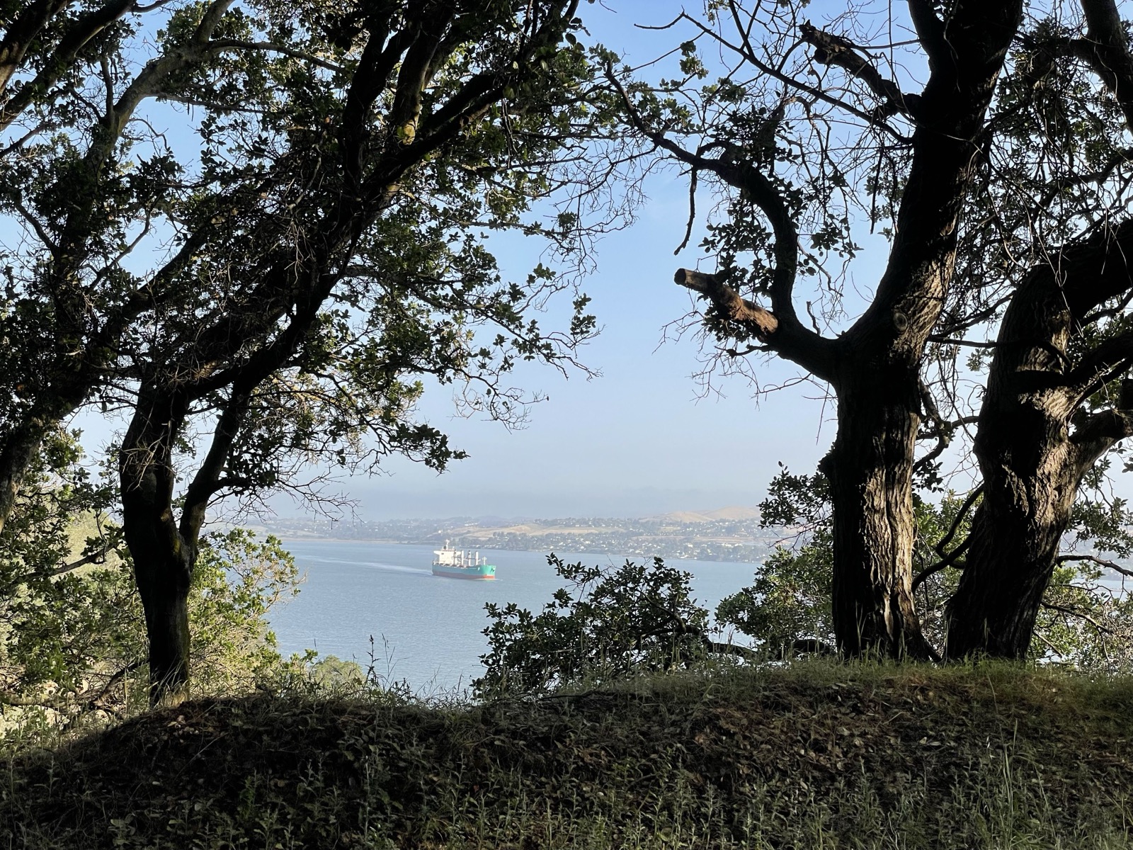 Segment 66, photo 7