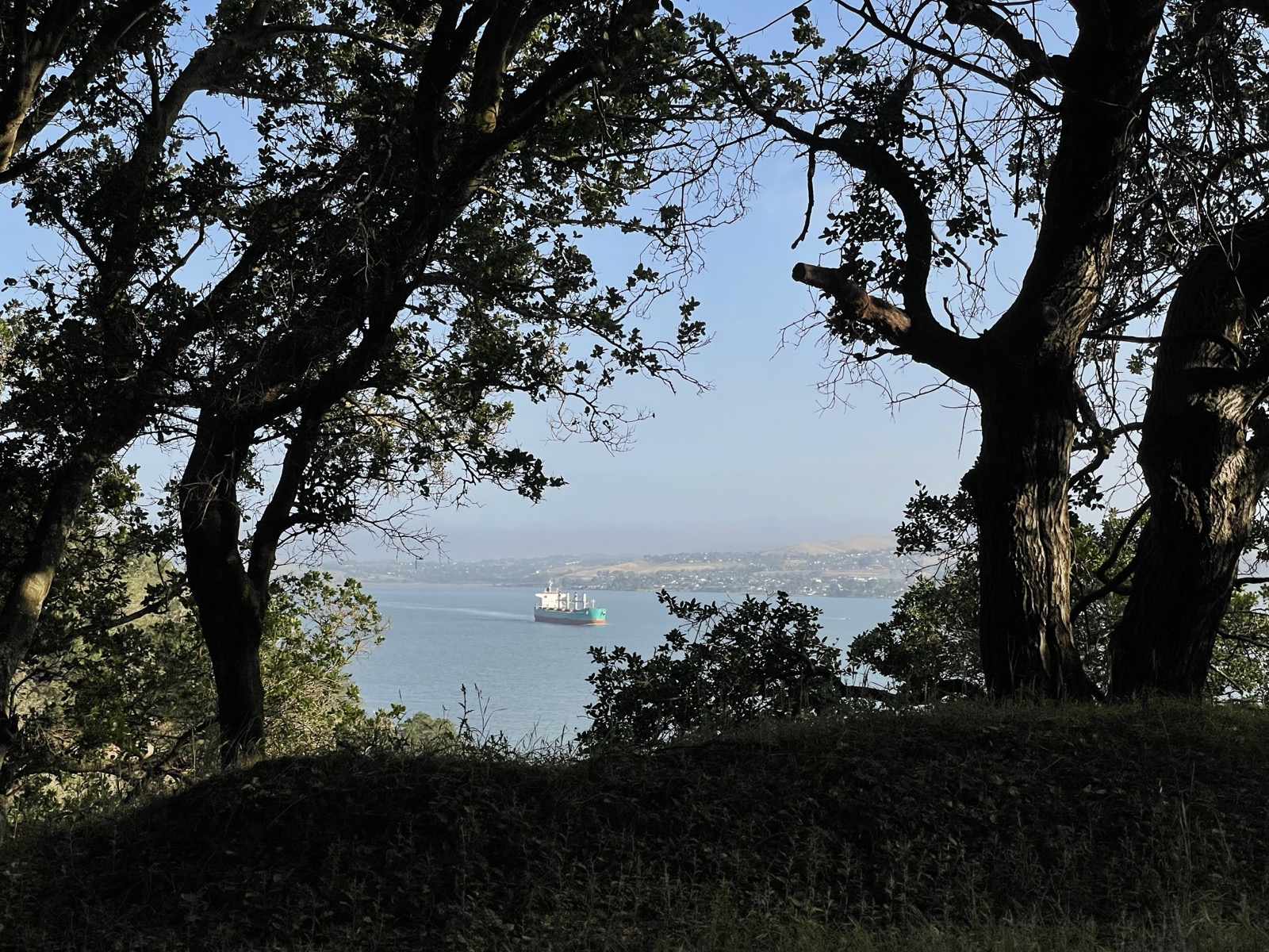 Segment 66, photo 8