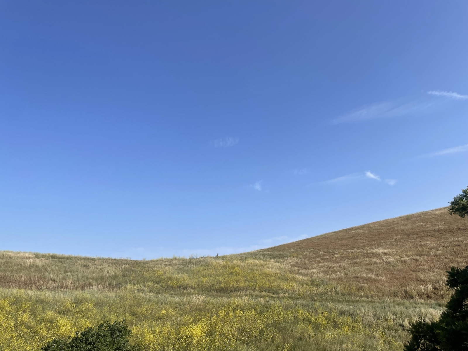 Segment 66, photo 12