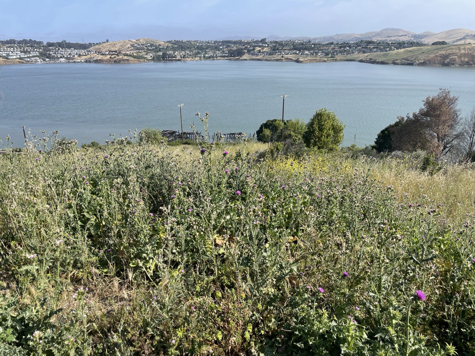 Segment 66, photo 14