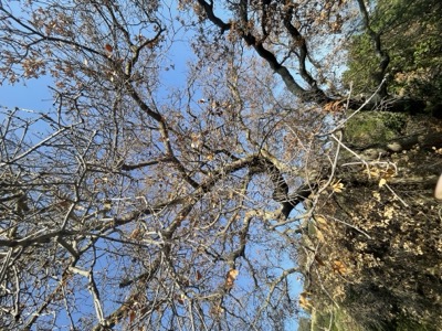 Segment 66 photo 2