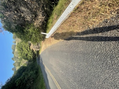 Segment 66 photo 3