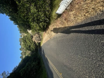 Segment 66 photo 4