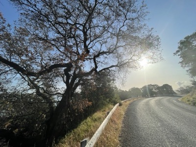 Segment 66 photo 5
