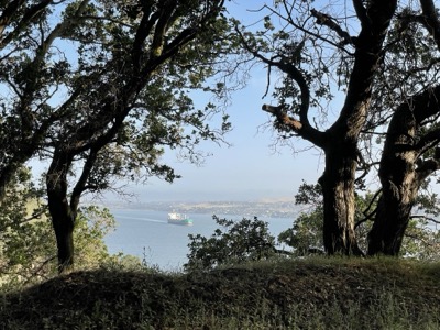 Segment 66 photo 7