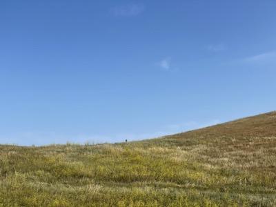 Segment 66 photo 13