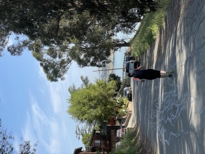Segment 66 photo 15