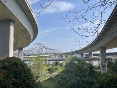 Segment 66 photo 23