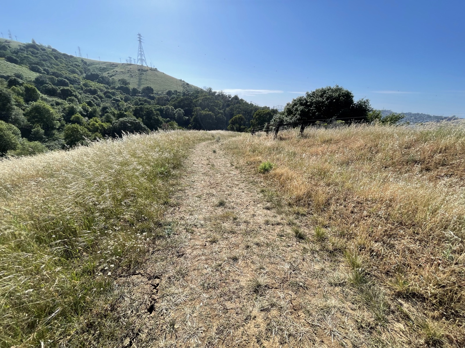Segment 67, photo 2