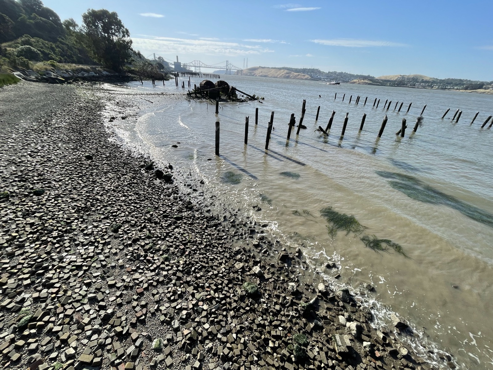 Segment 67, photo 11