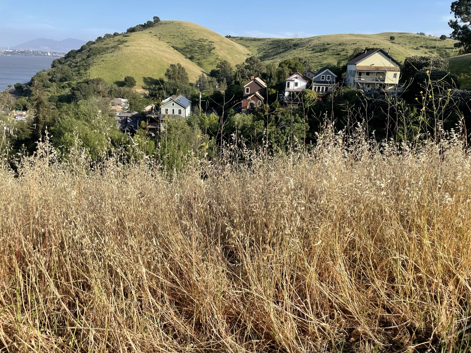 Segment 67, photo 14